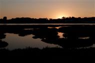 Sunset over the saltmarsh